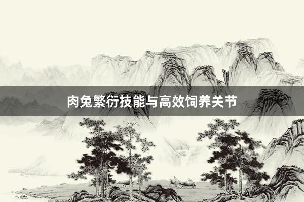 肉兔繁衍技能与高效饲养关节